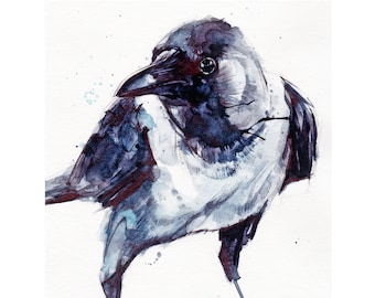 Hooded Crow - PRINT