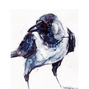 Hooded Crow PRINT image 1