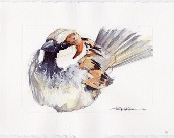 Sparrow - Original Watercolor