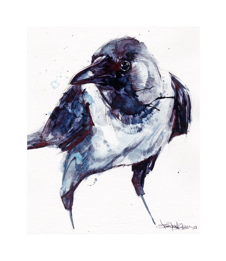 Hooded Crow PRINT image 1