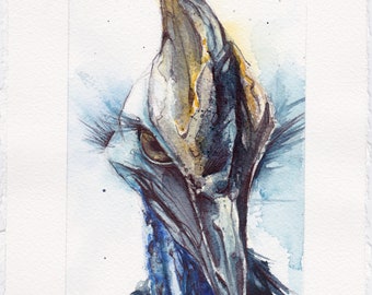 Cassowary - ORIGINAL WATERCOLOR