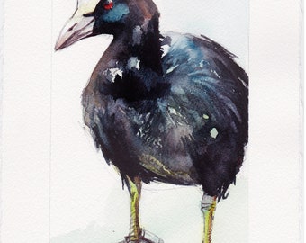 RALLIDAE - Original Watercolor