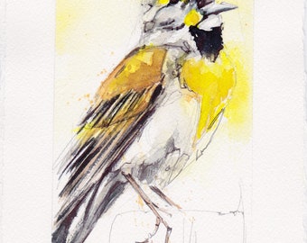 DICKCISSEL - Original Watercolor