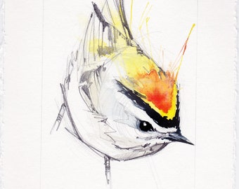 FLAMECREST - Original Watercolor