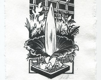 Titan Arum "Corpseflower" — Hand-Made Relief Print on Deckled-Edge 100% Cotton Paper