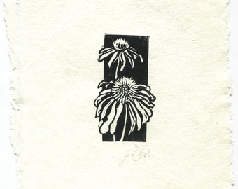 Purple Coneflower (Echinacea purpurea) — Hand-Made Relief Print on Deckled-Edge 100% Cotton Paper