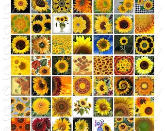 Sunflowers - 3 sizes - Inchies, 7-8 inch AND .75 x .83 inch - Digital Collage Sheet - INSTANT DOWNLOAD