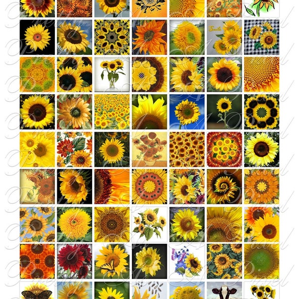 Sunflowers - 3 sizes - Inchies, 7-8 inch AND .75 x .83 inch - Digital Collage Sheet - INSTANT DOWNLOAD