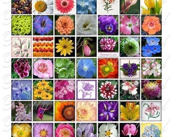 Flowers from Your Garden - Digital Collage Sheet - 3 sizes - Inchies, 7-8 inch, AND scrabble tile size .75 x .83 inch - INSTANT DOWNLOAD
