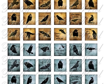 Crows & Ravens - 3 sizes - Inchies, 7-8 inch, AND scrabble tile size .75 x .83 inch - Digital Collage Sheet - INSTANT DOWNLOAD
