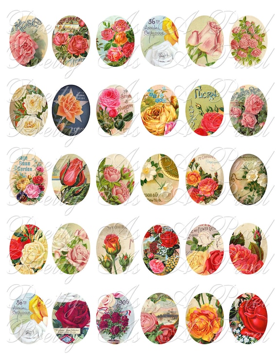 Antique Roses - Vintage Catalogs - INSTANT DOWNLOAD - 30 x 40 mm ovals - Digital Collage Sheet