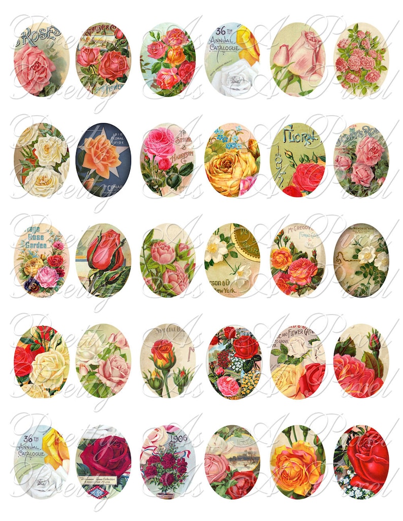 May include: A collection of 24 vintage oval-shaped images featuring various floral designs, including roses, lilies, and other blooms. The images are in a variety of colors, including red, pink, yellow, and white. Some of the images have text, such as "36th Annual Catalogue" and "The Rose Garden".