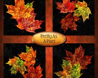コースター、カード、タグ用の印刷可能な 4x4 および 3.8x3.8 秋のメープル リーフ「グリッター メープル」、即時ダウンロード