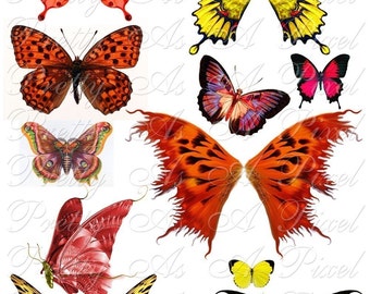 Autumn Butterfly Wings Collage Sheet, Scrapbooking Ephemera (Digital Download)
