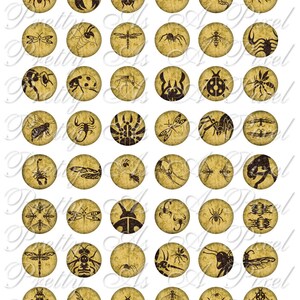 Go Away You Bug Me - Bugs 1 - One Inch Circles - INSTANT DOWNLOAD - For Pendants Magnets - Crafts - Digital Collage Sheet