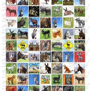 Esel und Maultiere - INSTANT DOWNLOAD - Inchies, 7-8 Zoll, und Scrabble Fliesengröße 0,75 x 0,83 Zoll - Digital Collage Sheet