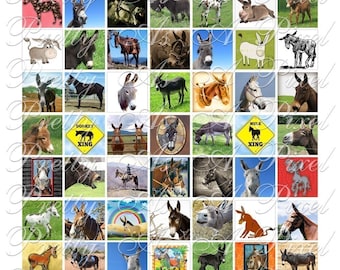 Donkeys and Mules - INSTANT DOWNLOAD - Inchies, 7-8 inch, and scrabble tile size .75 x .83 inch - Digital Collage Sheet