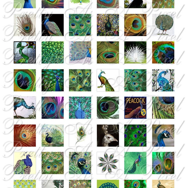 Peacock Fancy - 3 sizes - Inchies, 7-8 inch, AND scrabble tile size .75 x .83 inch - Digital Collage Sheet - INSTANT DOWNLOAD