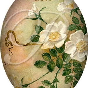 May include: Vintage illustration of a white "Memorial" rose with green leaves and stems on a light brown background. The text "The "Memorial" Rose (Rosa Wichuraiana) See Page 120" is printed at the top of the image.