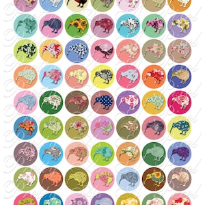 Kiwis colorés - One Inch Circles - INSTANT DOWNLOAD - Digital Collage Sheet