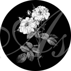 Floral Portraits in White on Black One Inch Circles INSTANT DOWNLOAD Digital Collage Sheet image 5