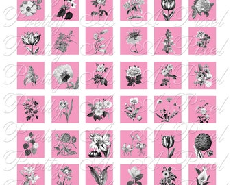 Floral Portraits on Pink - 2 sizes - Inchies AND scrabble size .75 x .83 inch - Digital Collage Sheet - INSTANT DOWNLOAD