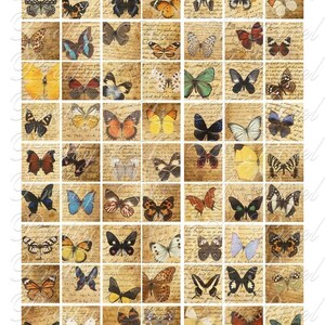 Mariposas en letras manuscritas vintage - 3 tamaños - Pulgadas, 7-8 pulgadas Y .75 x .83 pulgadas - Hoja de collage digital - DESCARGA INSTANTE