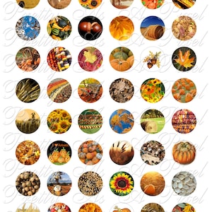 May include: A set of 36 round, colourful, autumn-themed images. The images include pumpkins, sunflowers, corn, leaves, acorns, hay bales, and other autumn imagery.