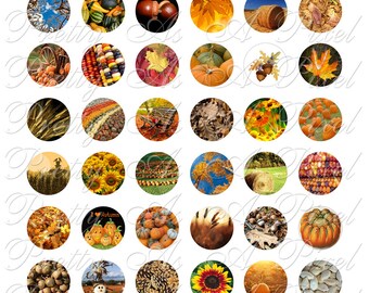 Autumn Harvest - One Inch Circles - INSTANT DOWNLOAD - Digital Collage Sheet