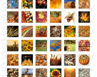 Autumn Harvest - 2 sizes - Inchies AND scrabble tile size .75 x .83 inch - Digital Collage Sheet - INSTANT DOWNLOAD