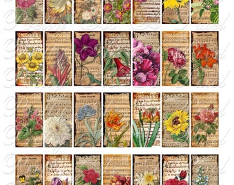 Floral Symphony - Vintage Flowers on Antique Sheet Music - Domino Size 1 x 2 inch - Digital Collage Sheet - INSTANT DOWNLOAD