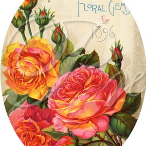 May include: Vintage floral seed packet featuring a bouquet of yellow, pink, and orange roses with green leaves. The packet is labeled "McGregor's Floral Gem for 1896".