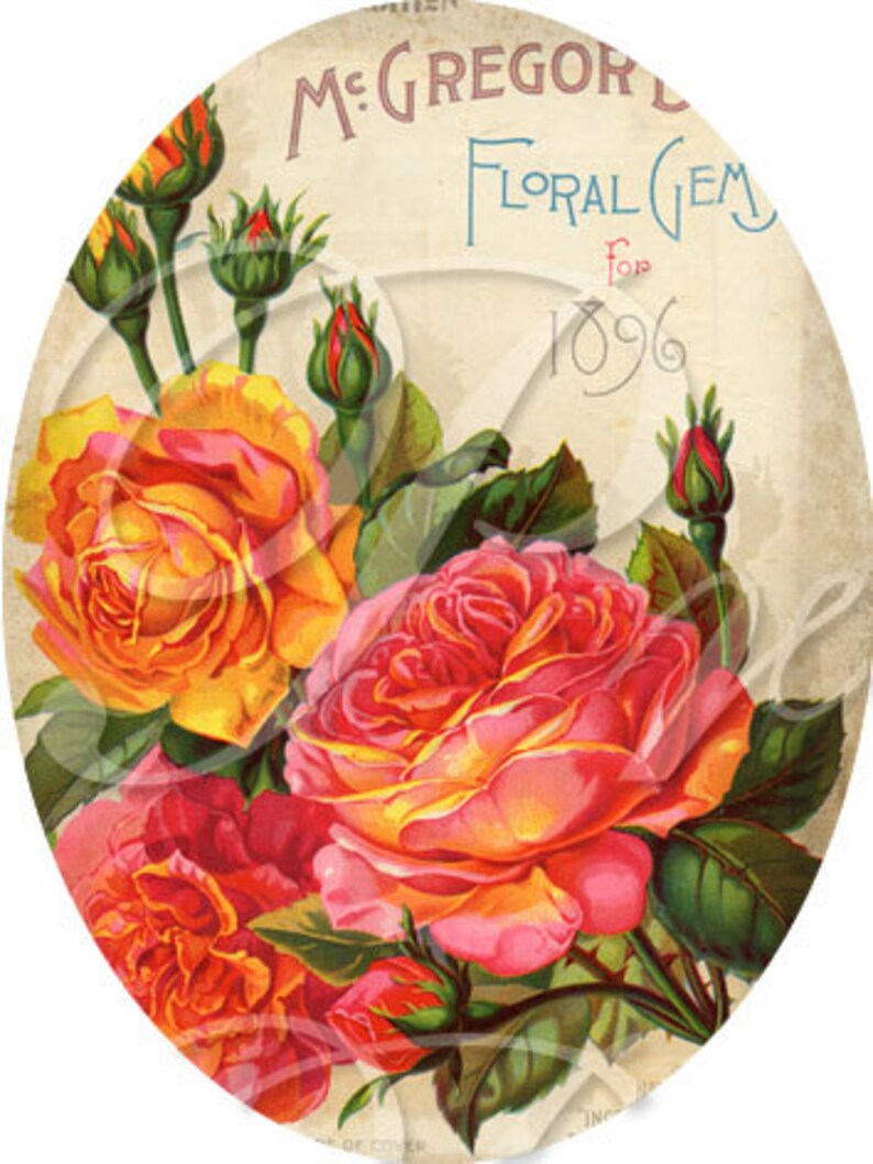 May include: Vintage floral seed packet featuring a bouquet of yellow, pink, and orange roses with green leaves. The packet is labeled "McGregor's Floral Gem for 1896".