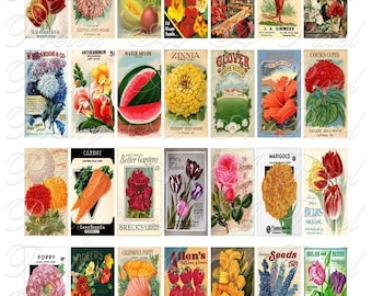 ビンテージ シード パックとカタログ - 即時ダウンロード - 1 x 2 インチ ドミノ サイズ - デジタル コラージュ シート