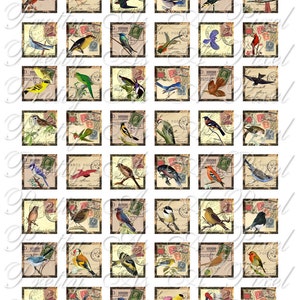 vintage Birds on Old Postcards - 3 tailles - Inchies, 7-8 inch, AND scrabble size .75 x .83 inch - Digital Collage Sheet - INSTANT DOWNLOAD