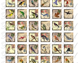 Vintage Birds on Old Postcards - 3 sizes - Inchies, 7-8 inch, AND scrabble size .75 x .83 inch - Digital Collage Sheet - INSTANT DOWNLOAD