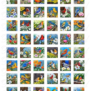 Puede incluir: Una colección de 36 imágenes digitales que presentan pájaros coloridos posados en ramas y rodeados de flores. Los pájaros se representan en una variedad de poses y colores, incluyendo pájaros azules, cardenales, petirrojos y gorriones. Las imágenes son perfectas para proyectos de manualidades, scrapbooking o diseño digital.