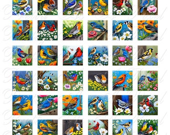 カントリー ソングバード - 2 サイズ - インチとスクラブル タイルのサイズ 0.75 x 0.83 インチ - デジタル コラージュ シート - 即時ダウンロード