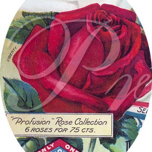 May include: A vintage advertisement for a "Profusion" Rose Collection featuring a single red rose with green leaves. The text reads "Profusion" Rose Collection 6 ROSES FOR 75 CTS.  The ad also features a blue diamond-shaped seal with the text "ONLY ONE THE BEST QUALITY".
