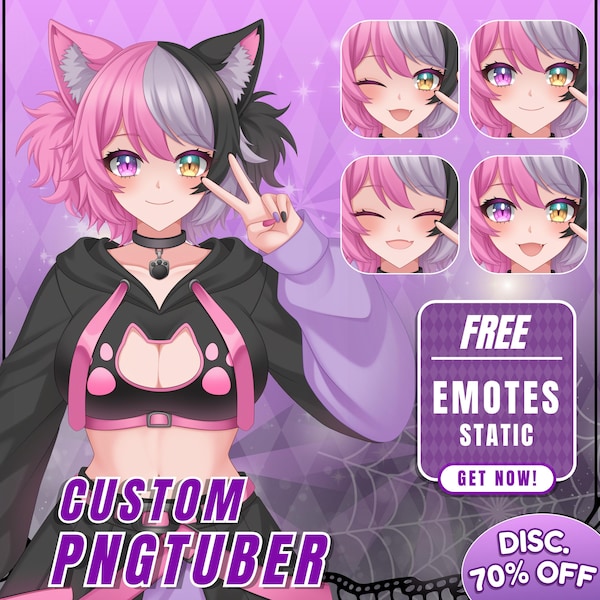 Individuell angefertigter Anime PNGtuber Charakter: live2d, Model, Charakter, Design, Musik-Sammlung, Objekt, Veadotube