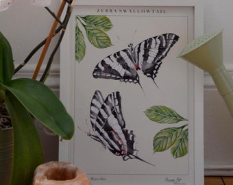 Butterfly Botanical Art Print produced from original hand painted artwork