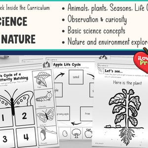 Preschool Curriculum Full Year, PreK Bundle 2400+ Pages, Printable Worksheets & Crafts, Lesson Plans for Ages 3-5, Kindergarten Readiness image 9