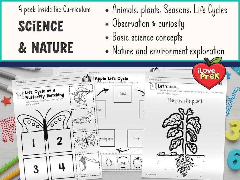 Preschool Curriculum Full Year, PreK Bundle 2400+ Pages, Printable Worksheets & Crafts, Lesson Plans for Ages 3-5, Kindergarten Readiness image 9