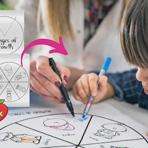 Preschool Curriculum Full Year, PreK Bundle 2400+ Pages, Printable Worksheets & Crafts, Lesson Plans for Ages 3-5, Kindergarten Readiness image 16