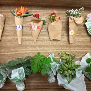 Może przedstawiać: Drewniana taca prezentuje kilka miniaturowych bukietów i roślin doniczkowych. Bukiet jest owinięty w brązowy papier i zawiera różne kwiaty. Rośliny doniczkowe są owinięte w gazetę. Paleta kolorów obejmuje odcienie zieleni, brązu, pomarańczowego, różowego i białego.
