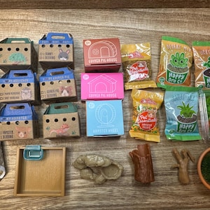 Pode incluir: Uma coleção de pequenos suprimentos e acessórios para animais de estimação, incluindo transportadores de papelão, pacotes de comida, uma garrafa de água e habitats em miniatura. Os transportadores são rotulados para hamsters, porquinhos-da-índia e coelhos.