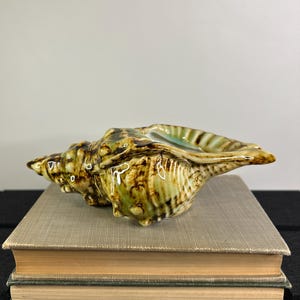 May include: A ceramic seashell sculpture in shades of green, brown, and cream, resting on a stack of two books. The shell has a textured surface and a glossy finish, with a hint of blue inside.