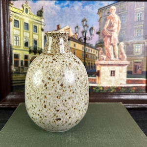 May include: A speckled ceramic vase with a rounded body and a narrow neck. The vase is light beige with brown speckles. It sits on a green book, with a framed painting in the background.