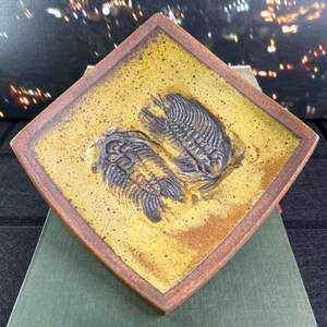 May include: Square ceramic tile featuring a raised relief of two trilobite fossils. The tile has a yellow-ochre centre with a dark brown border. The fossils are dark grey and detailed, set against a textured background.