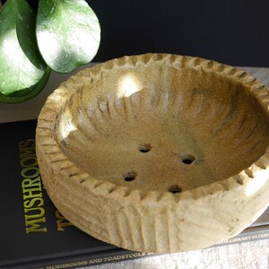 May include: A light brown ceramic planter with a textured, wavy rim and drainage holes. The planter is sitting on a black book with the word "Mushrooms" printed in gold.